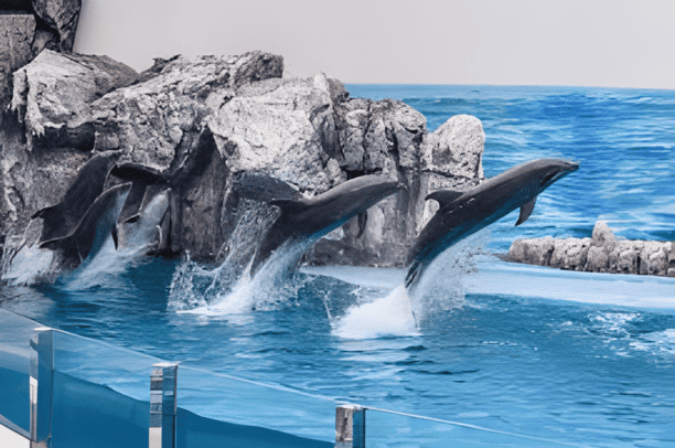 Top 10 Things to Do in Thailand for an epic Trip