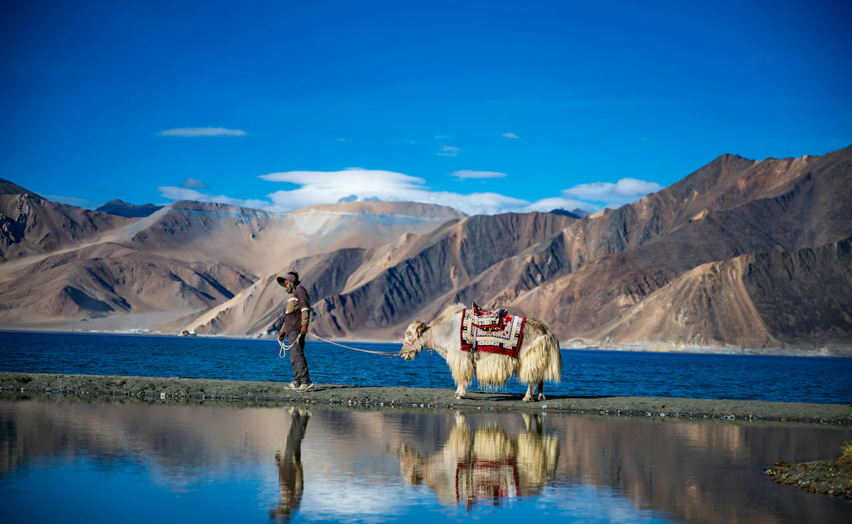 Unforgettable Leh Ladakh Trip Through the Himalayas