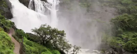 Stunning Coorg Trip, Coffee Hills and Nature