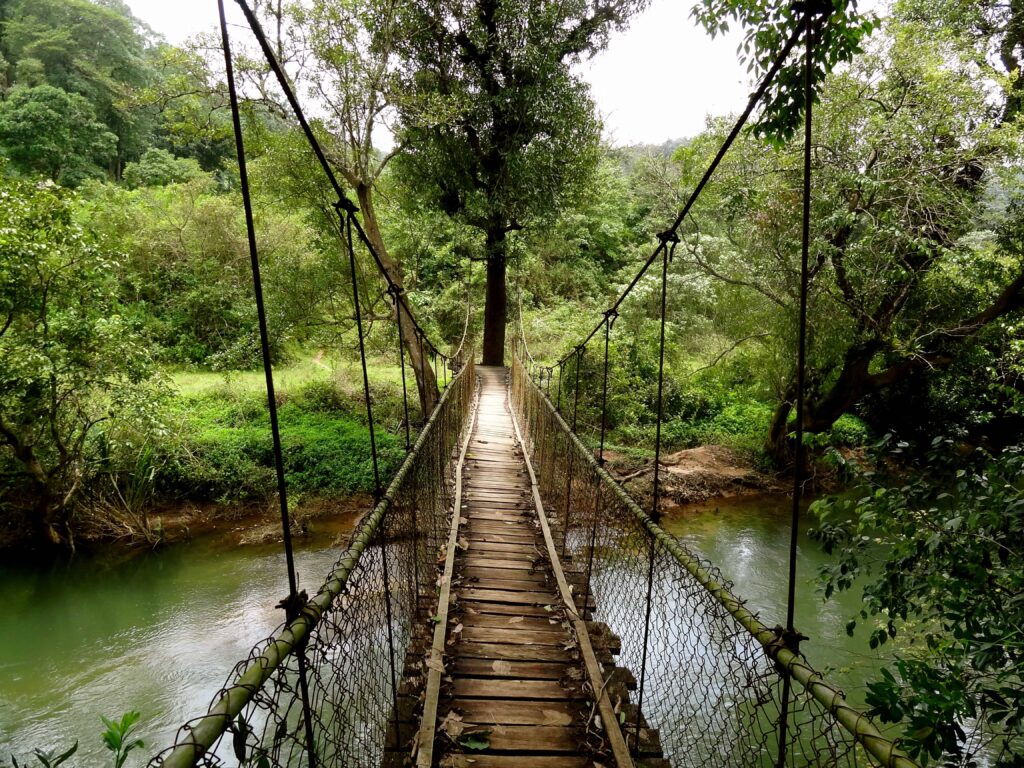 Stunning Coorg Trip, Coffee Hills and Nature