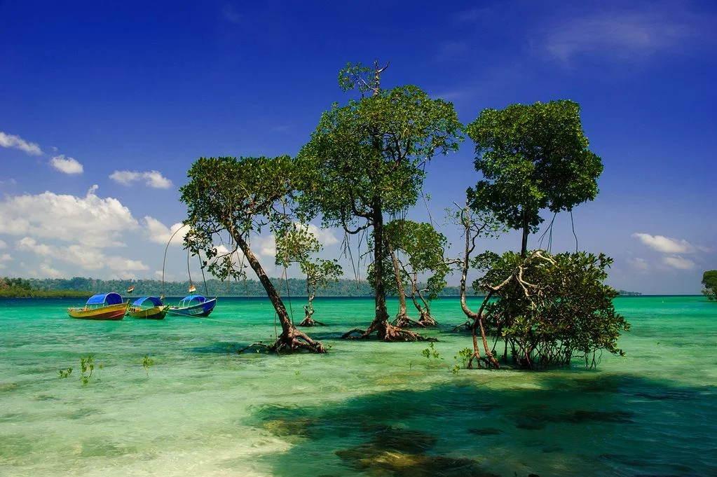 Ultimate Andaman & Nicobar Trip-Paradise Islands